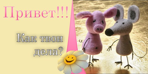 Приветы как прошел день