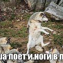 ���� �����, ����������, 64 ���� - ��������� 12 ������� 2019 � ������ ������ ��������