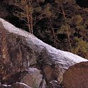 ���� �������, �����-��������� - ��������� 4 ������ 2020 � ������ �������� 2020�