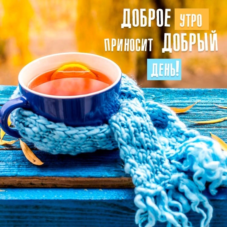 ����������� � ���������, �������� �� ������ ����. - 23 ������ 2019 � 23:44