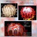 ���� ����, ���������, 45 ��� - ��������� 24 ������ 2019 � ������ ������ ��������