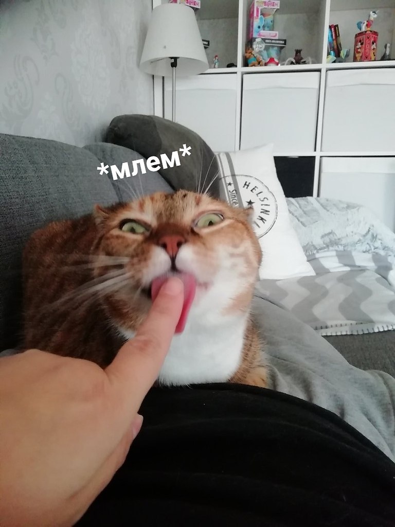   ,      - 2