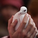 ���� �����, �����, 57 ��� - ��������� 10 ������ 2019 � ������ ������ ��������