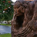  , , 50  -  26  2019   --