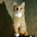  Saturn,  -  21  2019    