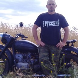 ������, ������, 51 ���