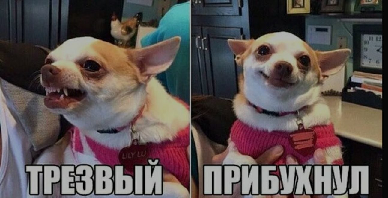 ***Victoria Viktorovna*** - 21  2019  16:11