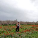 ���� ��������, ����� - ��������� 7 ������ 2019 � ������ �UZGTL�