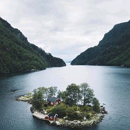 ���� Leon, ������ - ��������� 2 �������� 2019