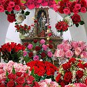   ,  , , 65  -  3  2020   