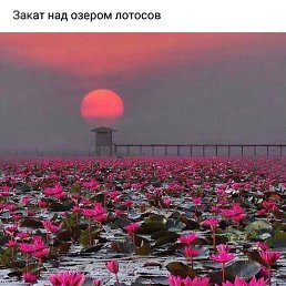 �������, ���������