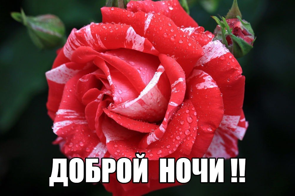   ,    . - 2  2019  18:44