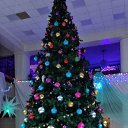 ���� �����, �������, 68 ��� - ��������� 23 ������� 2019 � ������ ���� ����������