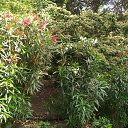 , ,20.06.19.8.45.    - 2019