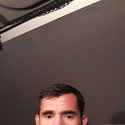 ����, �����-���������, 43 ����