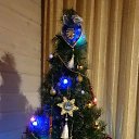  ,   , 47  -  21  2019