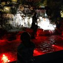  , -, 56  -  29  2019    