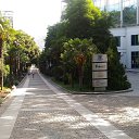 , ,08.06.19.    - 2019