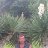 ���� Mikhail, ��������, 53 ���� - ��������� 14 ��� 2019