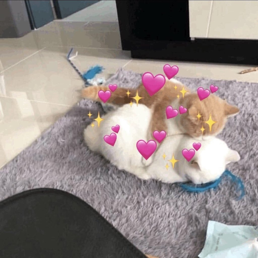    -   - 2