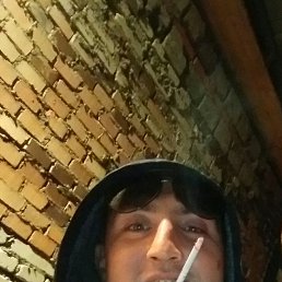 ����, ������, 37 ���