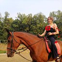 ���� ������, ������ - ��������� 5 ������ 2019 � ������ ���� ����������