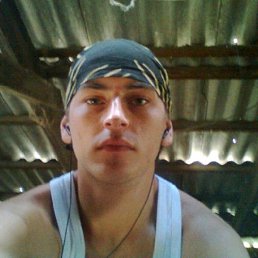 Wild Bars, ���������, 38 ���