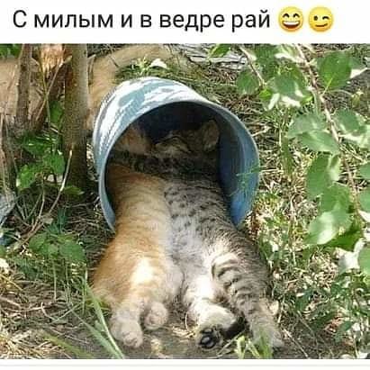 )))