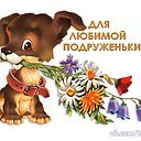 ���� ��������, ������ - ��������� 7 ������ 2019 � ������ ���� ����������