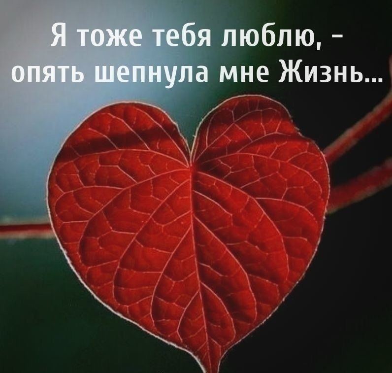 - 27  2019  20:30