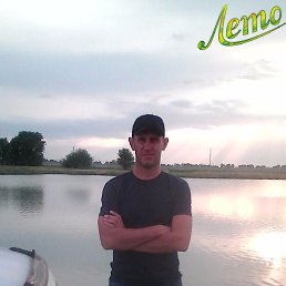 ������, ������, 44 ����