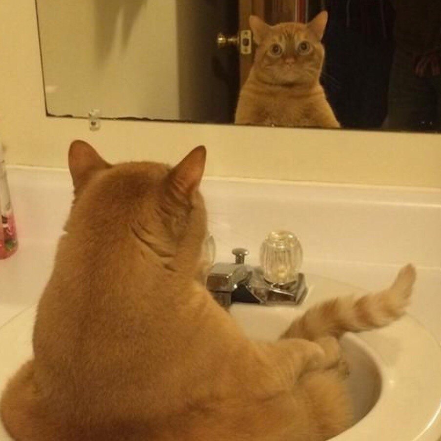 :   - 2