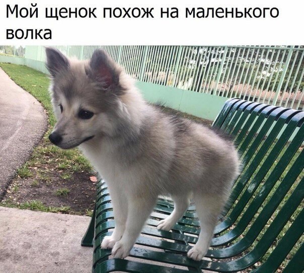 ☆   ☆ - 1  2019  03:28