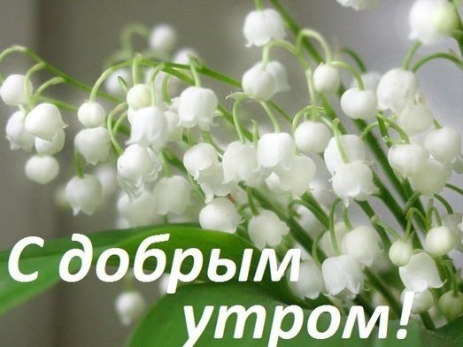  - 3  2019  08:35