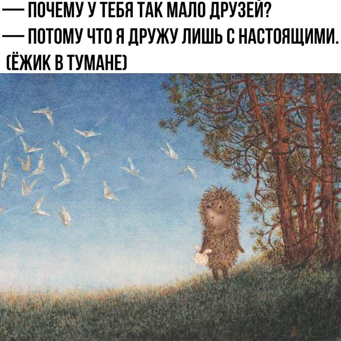  - 16  2019  20:59