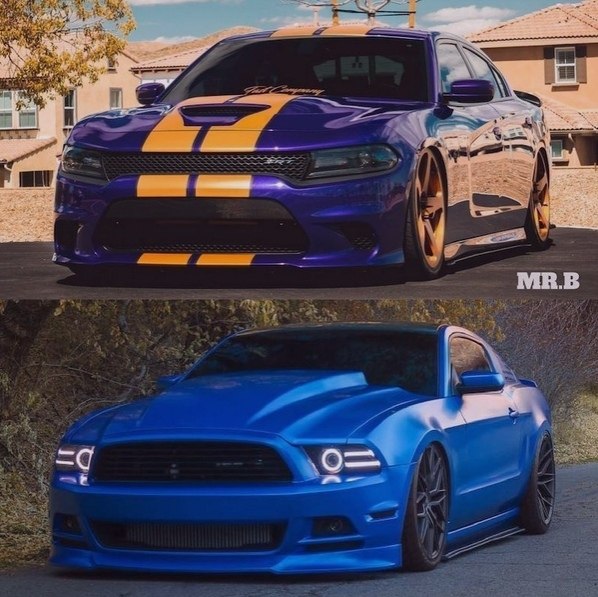 Chargr  Mustang?