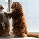  Saturn,  -  21  2019    