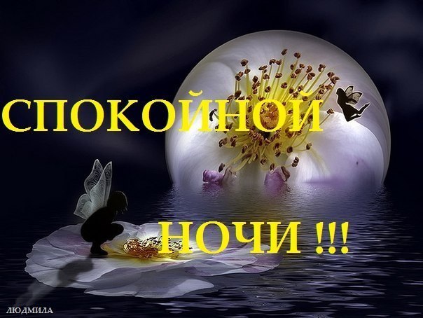   ,    . - 7  2019  21:50