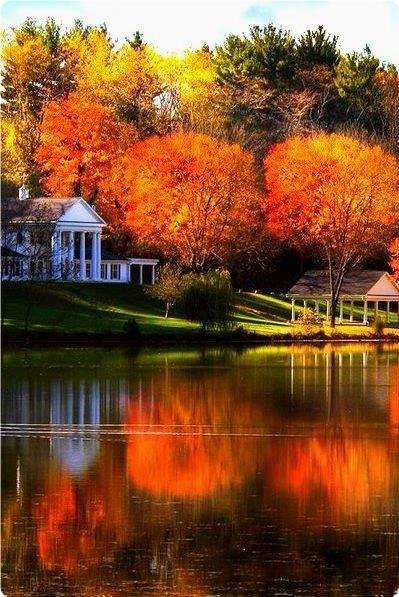  |  | - - 25  2019  03:42 - 4