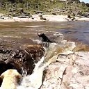 ���� ������, ����, 51 ��� - ��������� 4 ���� 2019 � ������ ������ ��������