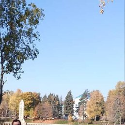 Giorgi, ������, 29 ���