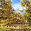 ���� Aleksey, ���������, 64 ���� - ��������� 20 ������� 2019 � ������ ���� ����������
