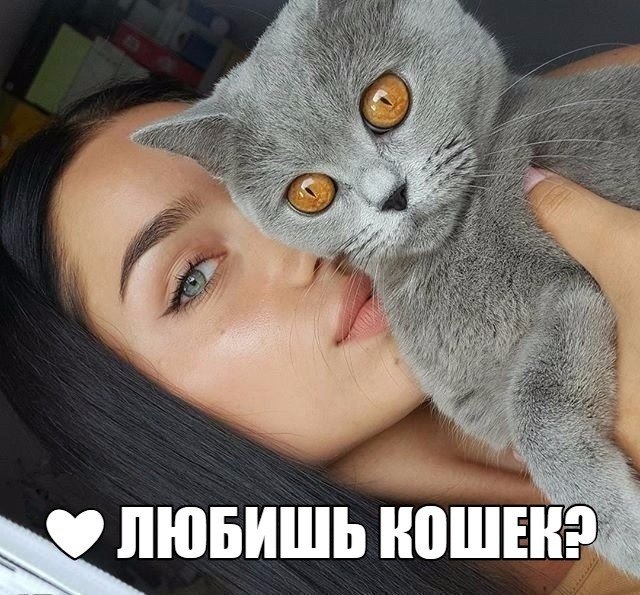   - 12  2019  02:09