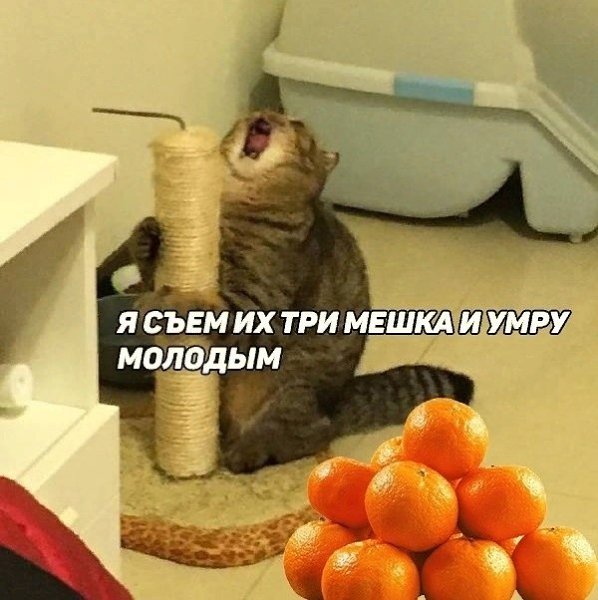       - 3
