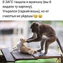  , -, 55  -  22  2019    