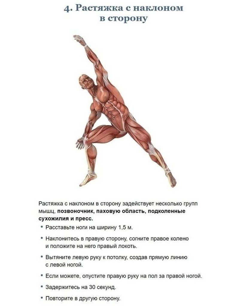   - 8
