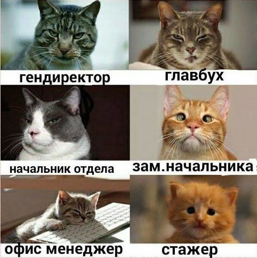    - 3  2019  03:38