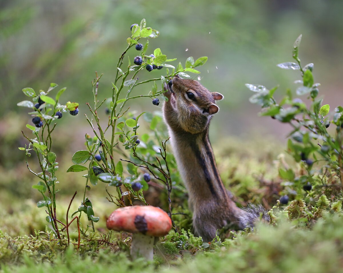 �������� �������! - 11 �������� 2019 � 07:55 - 4