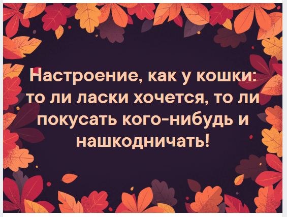  - 18  2019  18:28