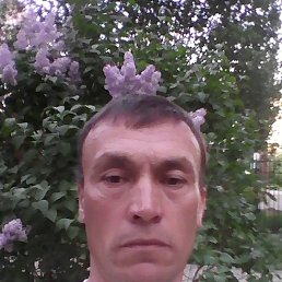 , -, 50 